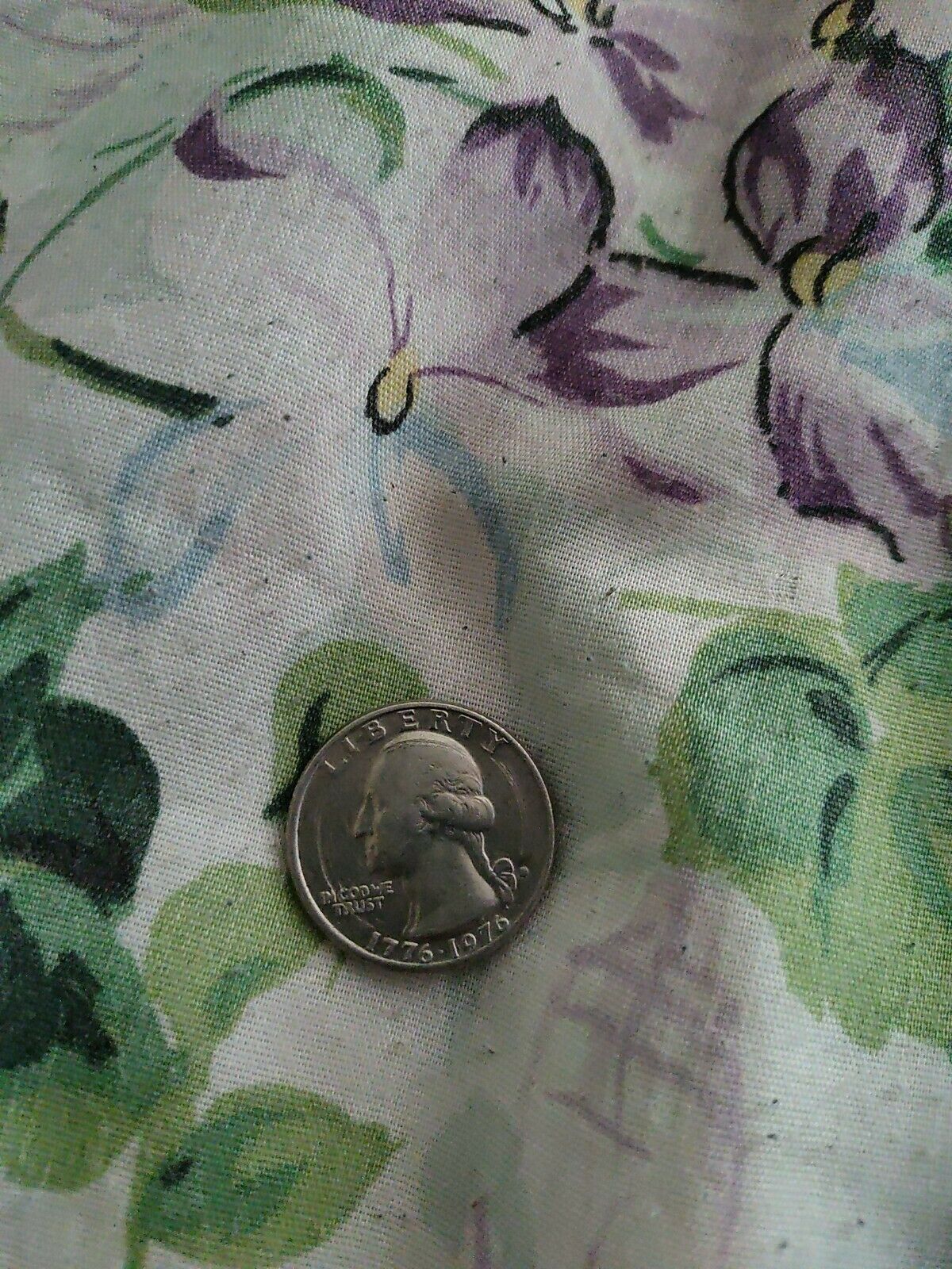 Mint 1776-1976 Quarter