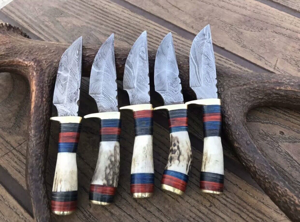 Lot 5 Piece Custom Handmade Damascus Steel Fix Blade Camping Hunting Knife .
